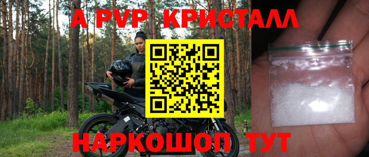 Alfa_PVP СК Казань