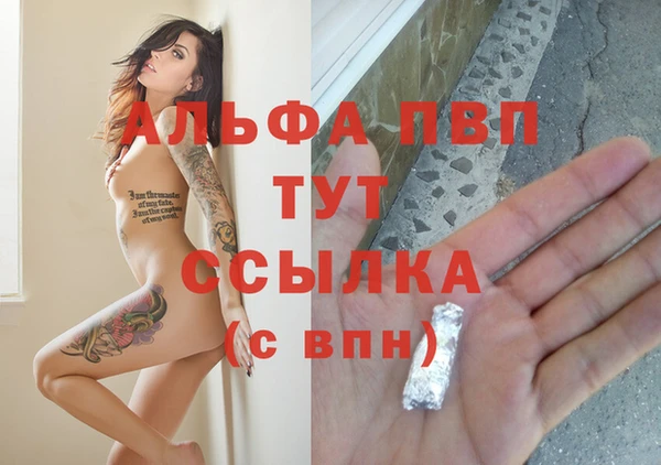 ПСИЛОЦИБИНОВЫЕ ГРИБЫ Карпинск