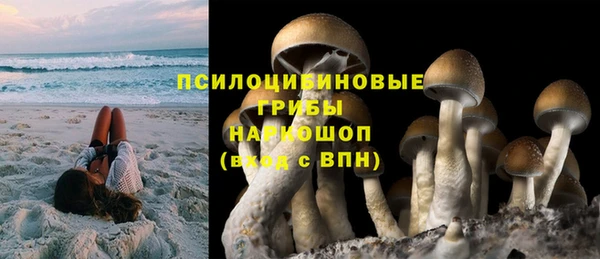 ПСИЛОЦИБИНОВЫЕ ГРИБЫ Карпинск