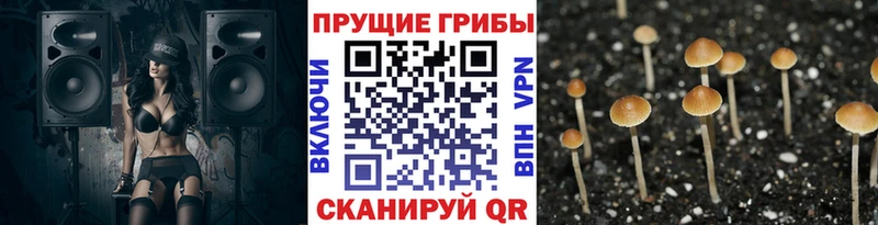 blacksprut   Казань  Галлюциногенные грибы мухоморы 
