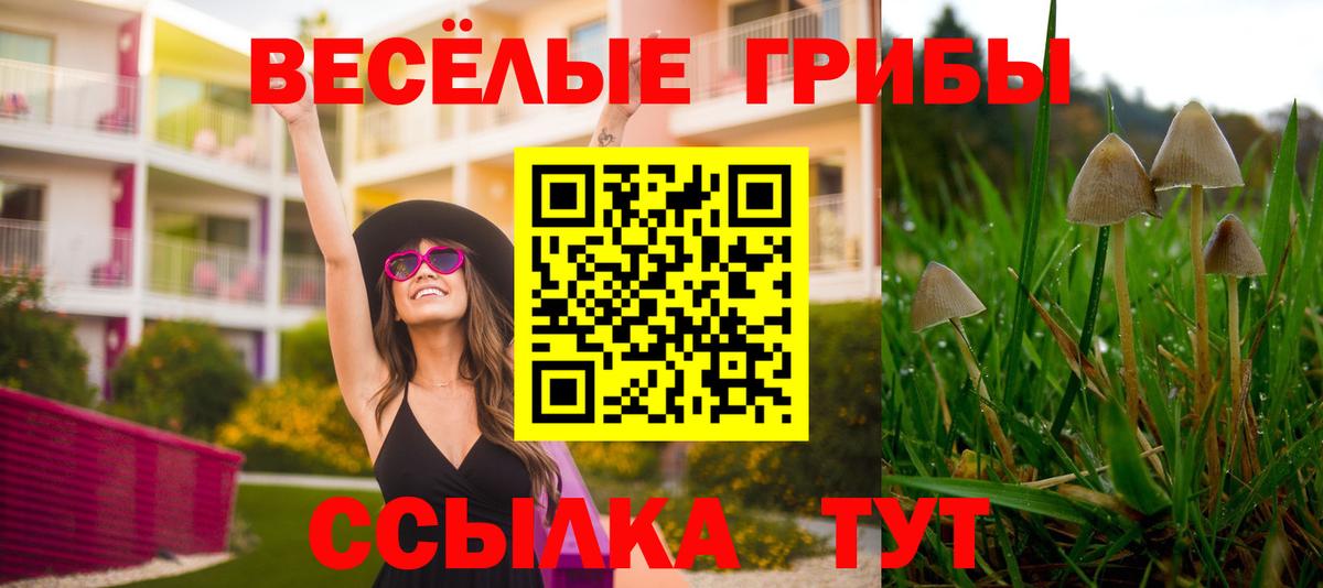 Казань  Галлюциногенные грибы мицелий  Вход с VPN  Псилоцибиновые грибы Magic Shrooms 
