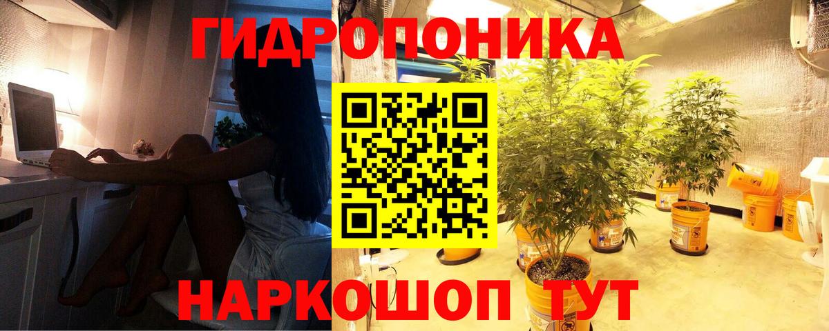 Бошки Шишки конопля  Марихуана план  Казань  МАРИХУАНА индика  Конопля VHQ  Вход с VPN 